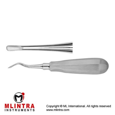 Root Elevator Fig. 81 Stainless Steel, Standard